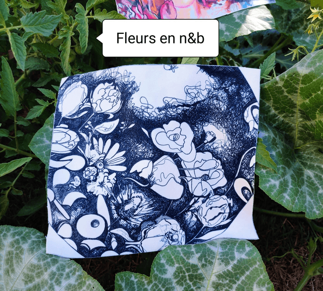 Coupon Velours 24*24 cm Divers imprimés